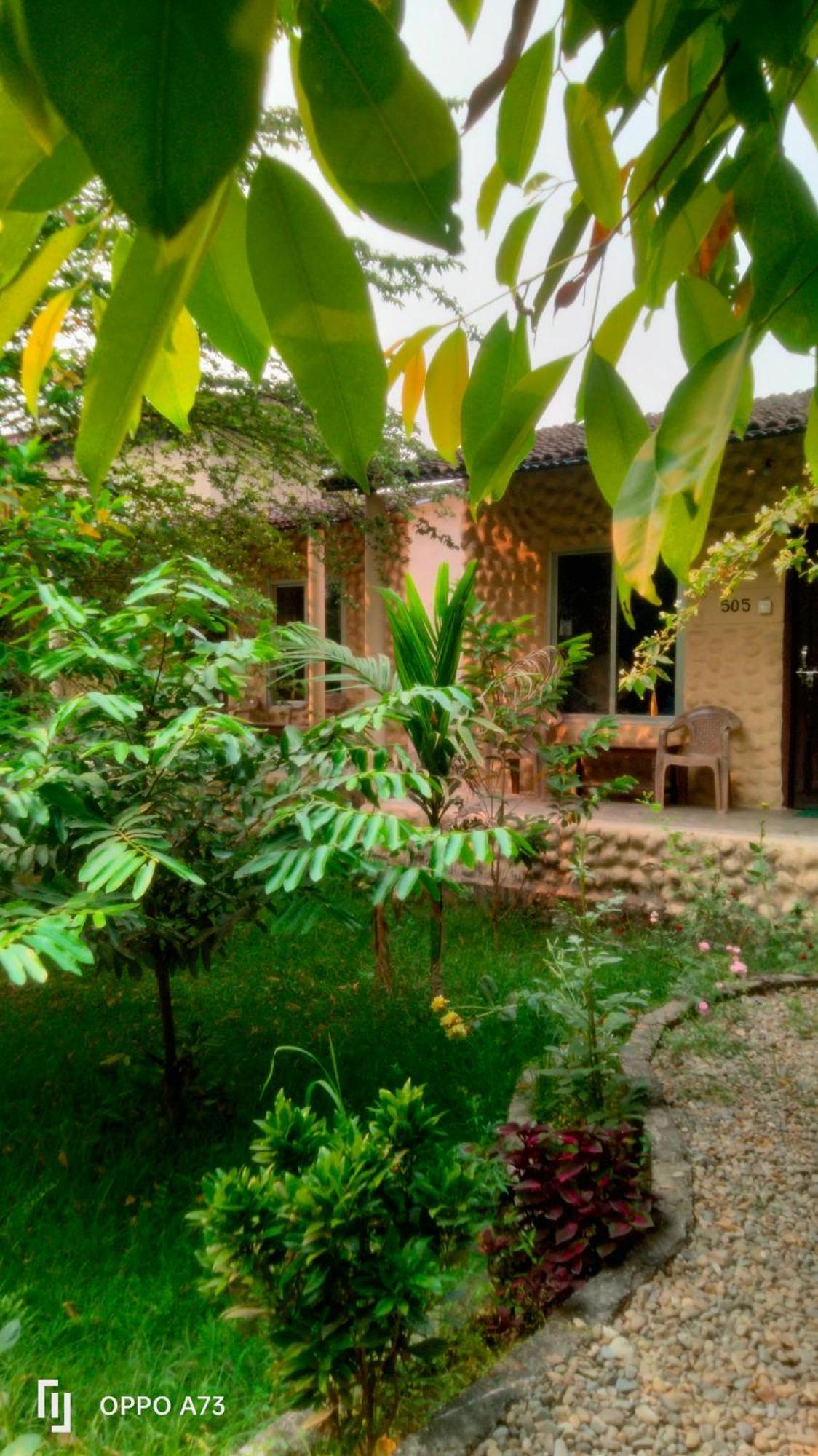 Hotel Tiger Tops سوراها الغرفة الصورة